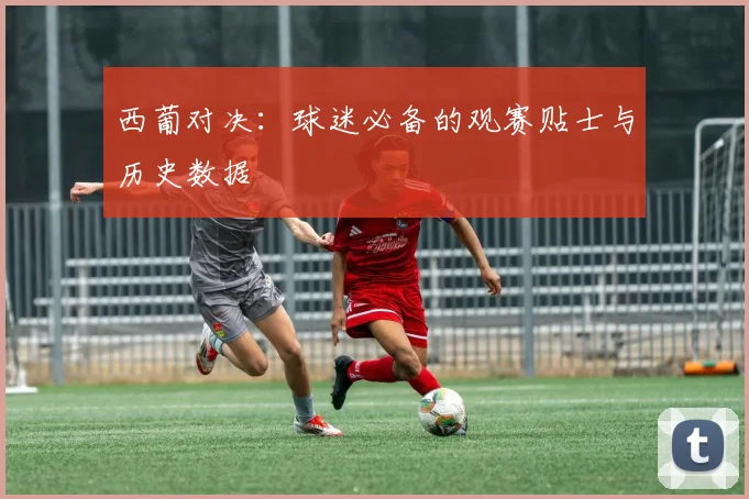 西葡对决：球迷必备的观赛贴士与历史数据