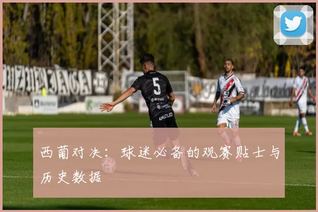 西葡对决:球迷必备的观赛贴士与历史数据