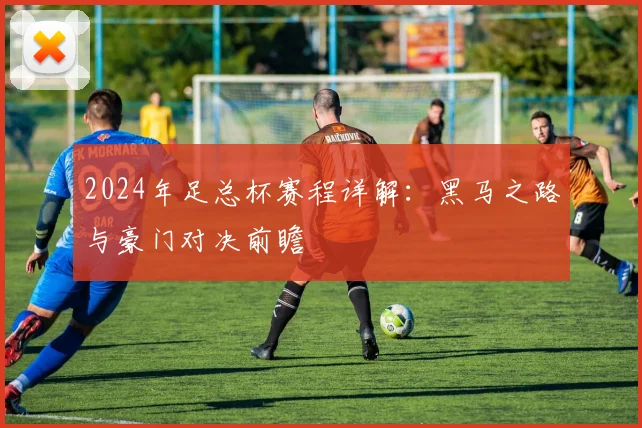 2024年足总杯赛程详解：黑马之路与豪门对决前瞻