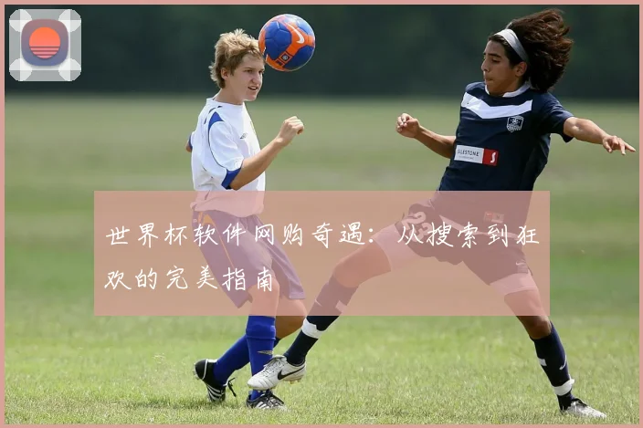 世界杯软件网购奇遇：从搜索到狂欢的完美指南