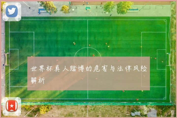 世界杯真人赌博的危害与法律风险解析