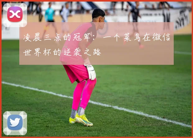 凌晨三点的冠军:一个菜鸟在微信世界杯的逆袭之路