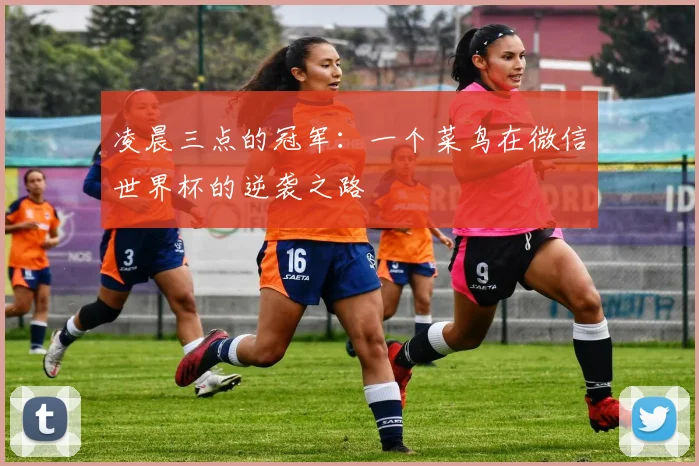 凌晨三点的冠军:一个菜鸟在微信世界杯的逆袭之路