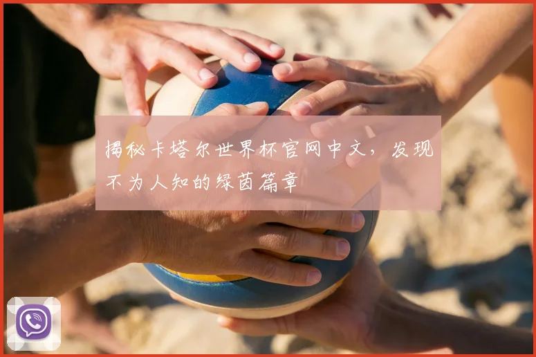 揭秘卡塔尔世界杯官网中文,发现不为人知的绿茵篇章
