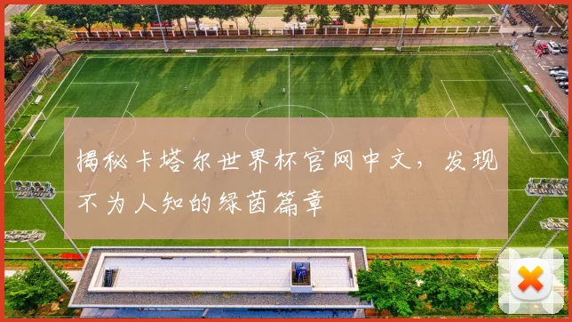 揭秘卡塔尔世界杯官网中文,发现不为人知的绿茵篇章